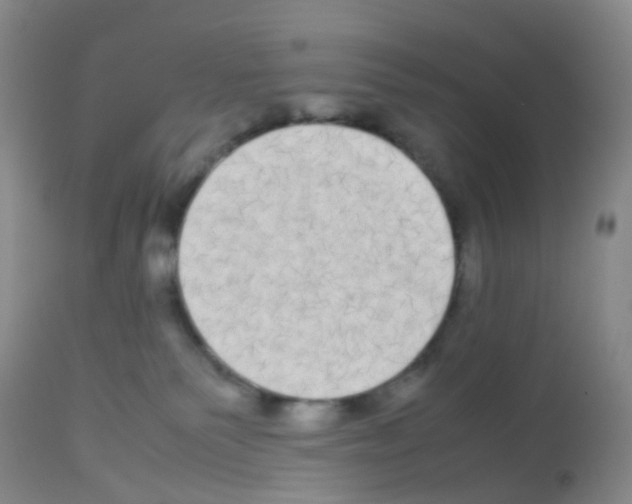 X0000113070135200910091216