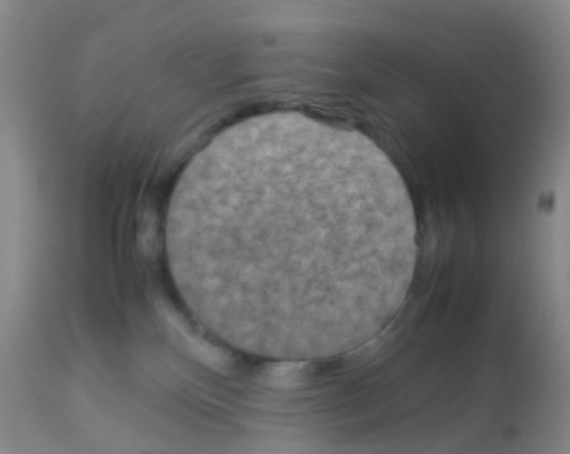 X0000113070136200910091216