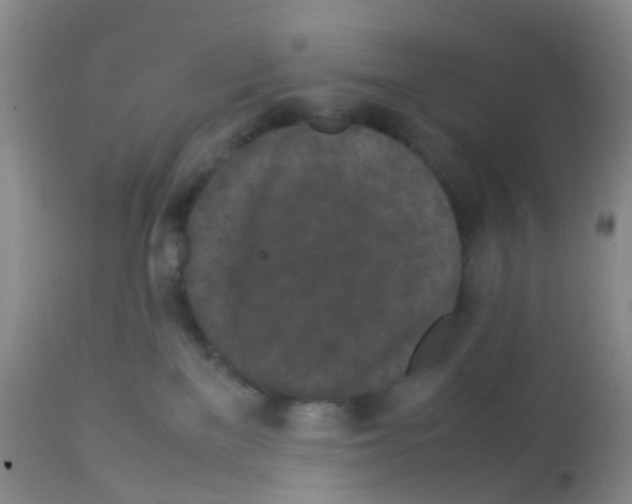 X0000113070137200910091216
