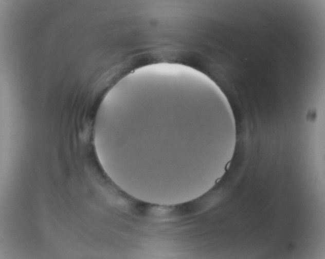 X0000113070139200910091216