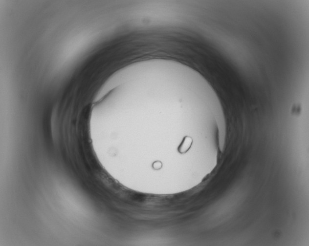 X0000113070140200910091216