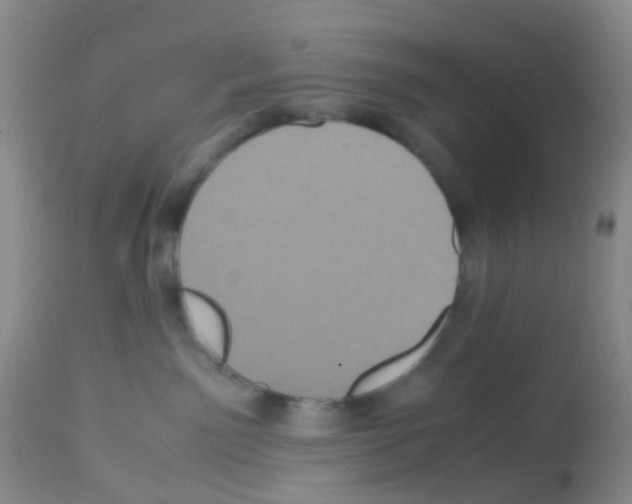 X0000113070141200910091216
