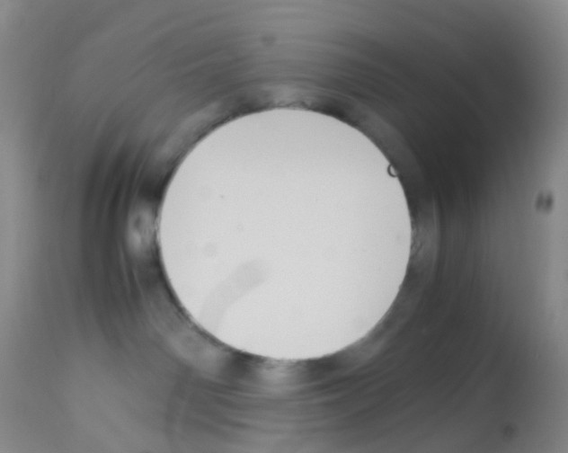 X0000113070142200910091216