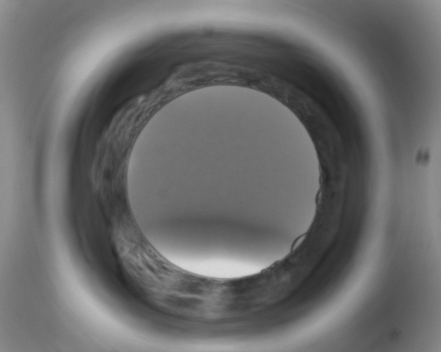 X0000113070143200910091216