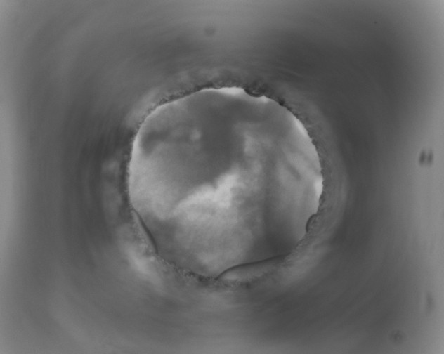 X0000113070144200910091216