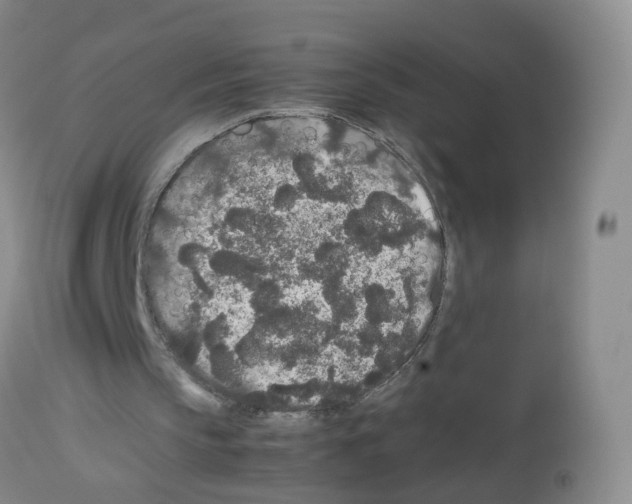 X0000113070145200910091216
