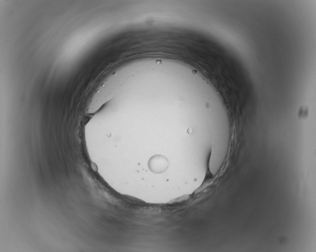 X0000113070146200910091216