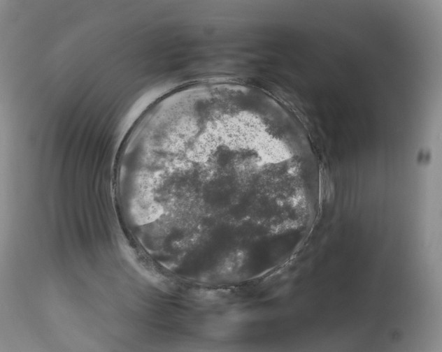 X0000113070147200910091216