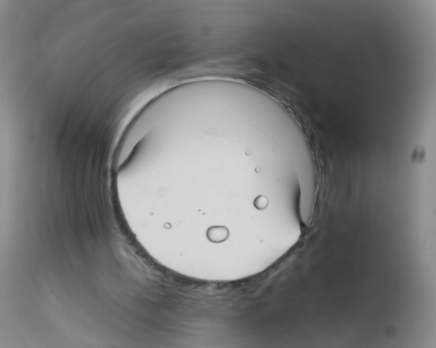 X0000113070148200910091216