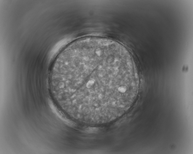 X0000113070149200910091216