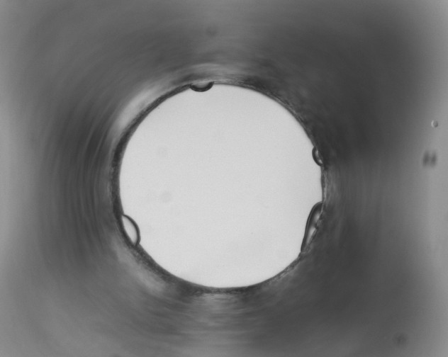 X0000113070150200910091216