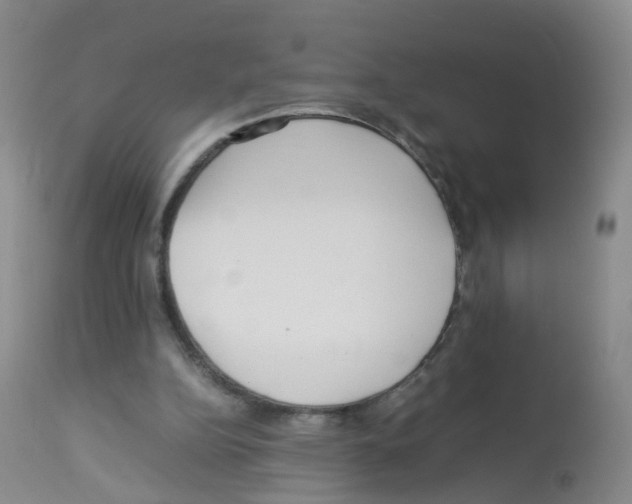 X0000113070152200910091216