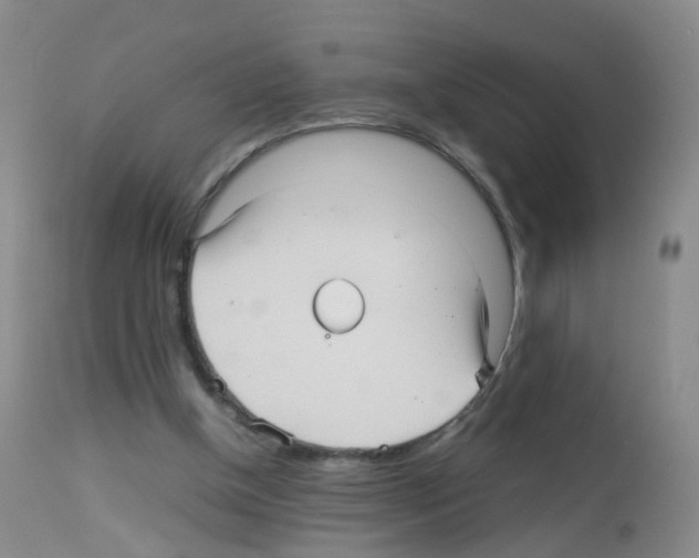 X0000113070154200910091216