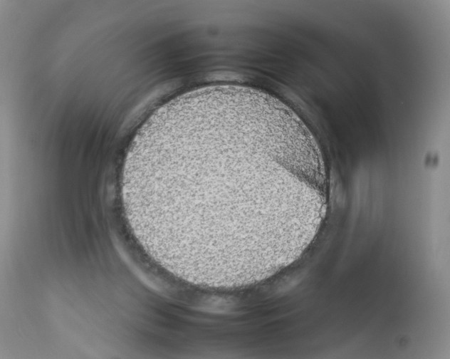 X0000113070157200910091216