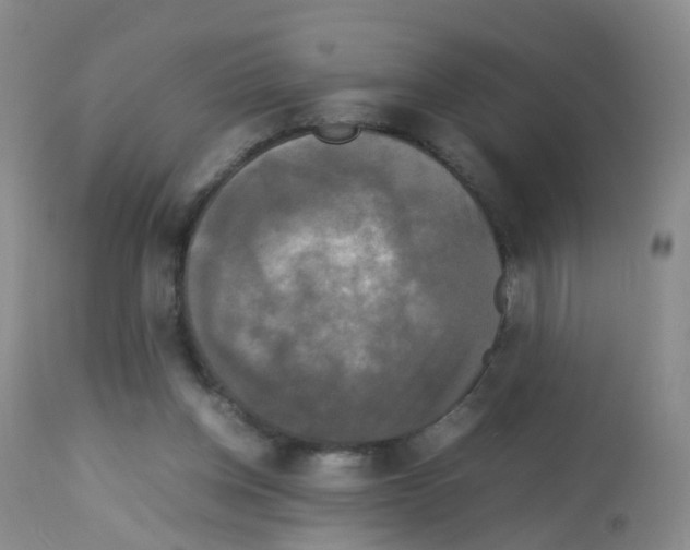 X0000113070158200910091216