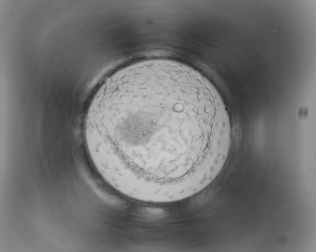 X0000113070159200910091216