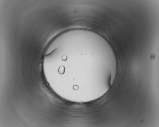 X0000113070160200910091216