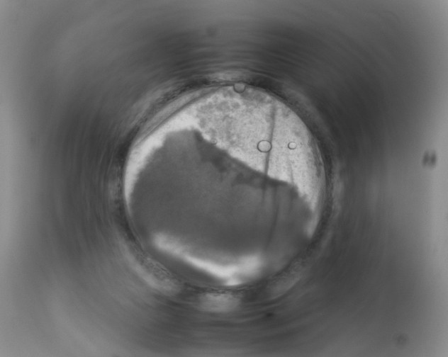 X0000113070161200910091216