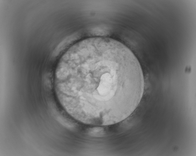 X0000113070162200910091216