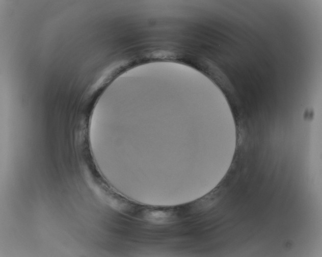 X0000113070163200910091216