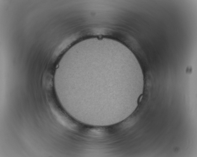 X0000113070164200910091216