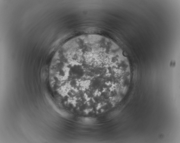 X0000113070165200910091216