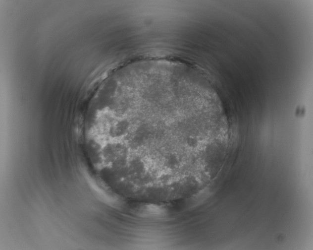 X0000113070166200910091216