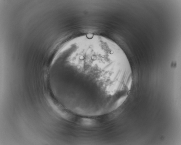 X0000113070167200910091216