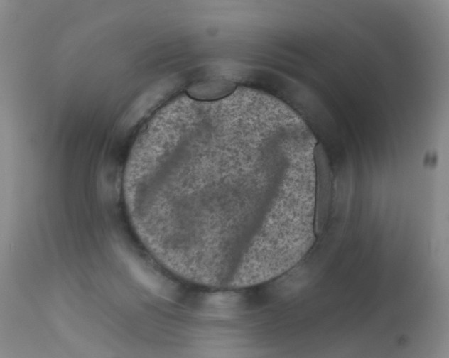 X0000113070168200910091216