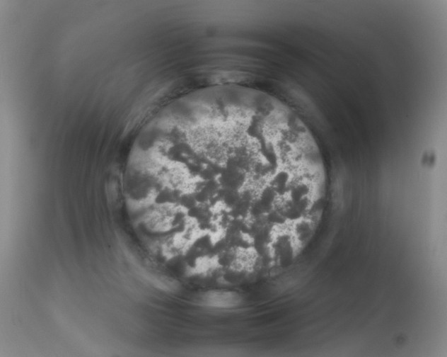 X0000113070169200910091216