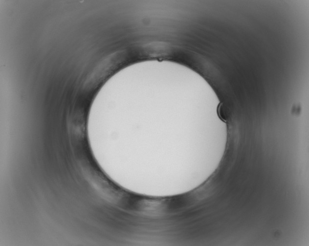 X0000113070170200910091216