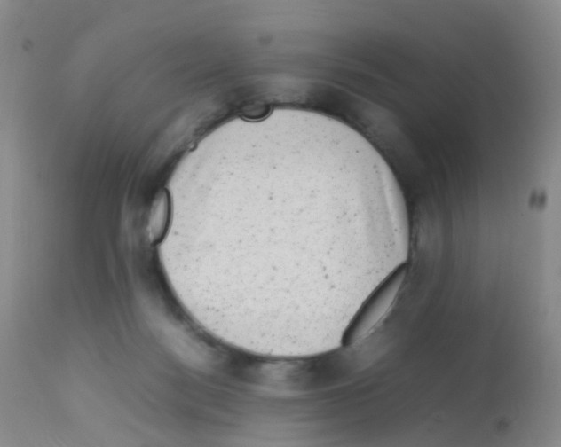 X0000113070172200910091216
