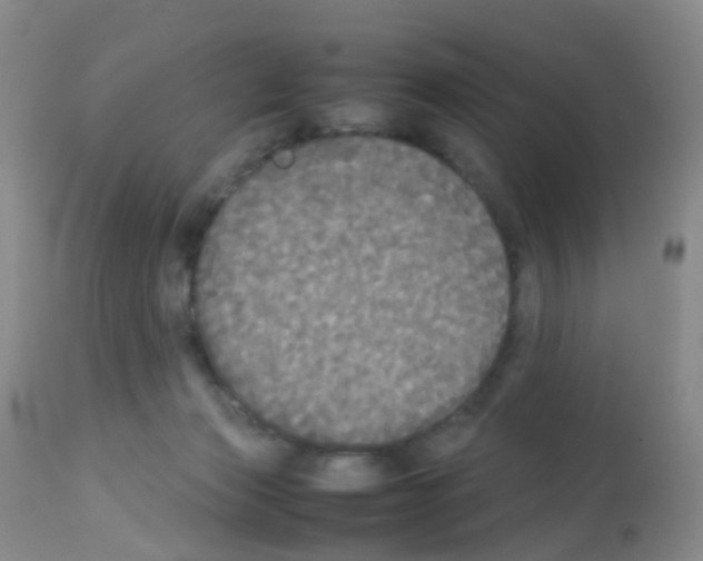X0000113070173200910091216