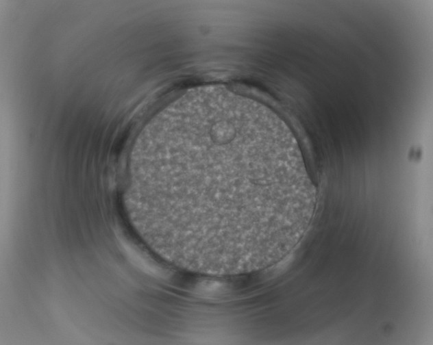 X0000113070174200910091216