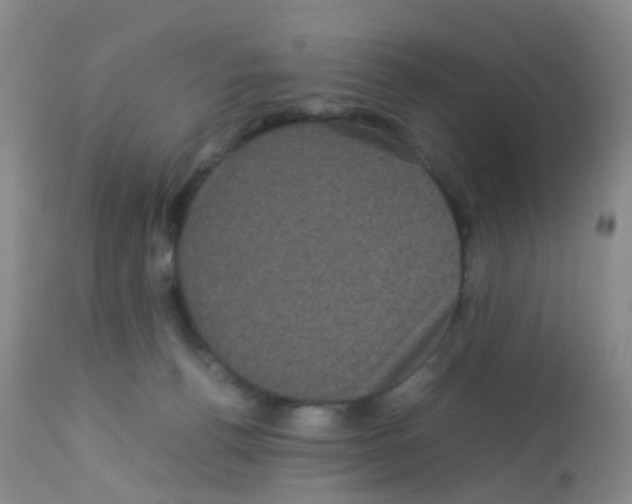 X0000113070176200910091216