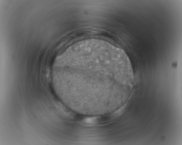 X0000113070178200910091216