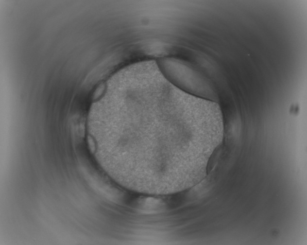 X0000113070180200910091216
