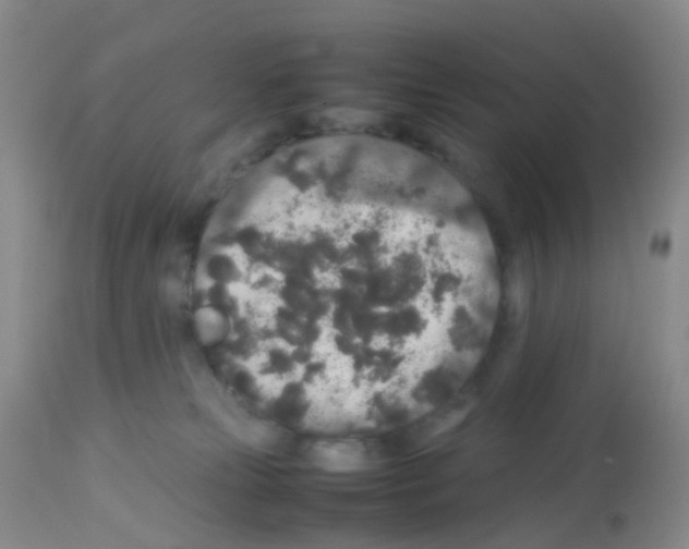 X0000113070181200910091216