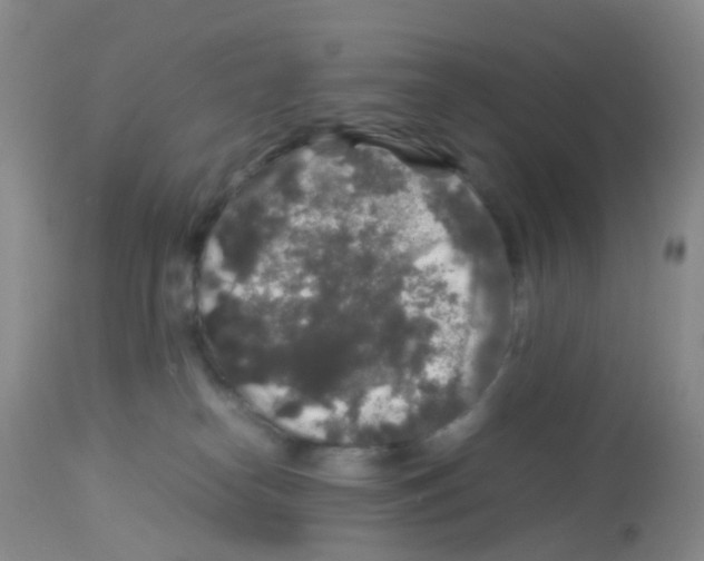 X0000113070182200910091216
