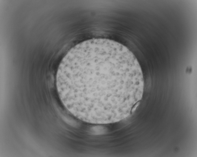 X0000113070183200910091216