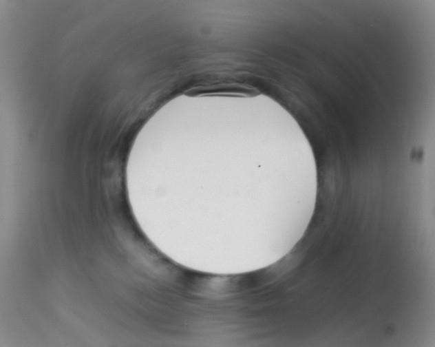 X0000113070184200910091216