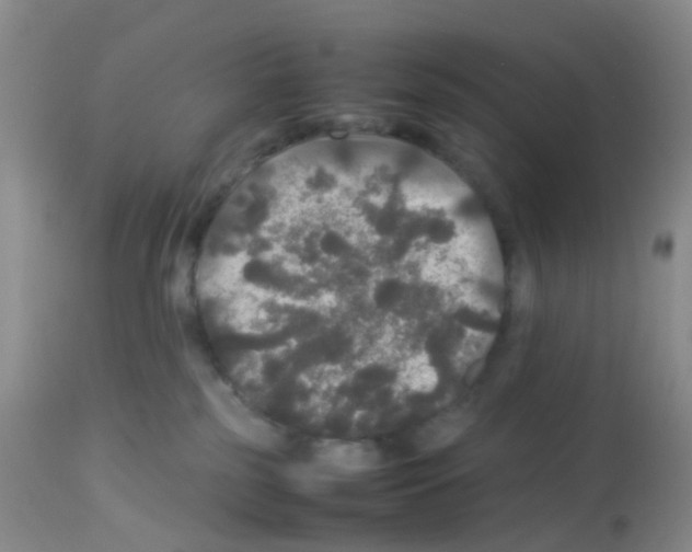 X0000113070185200910091216