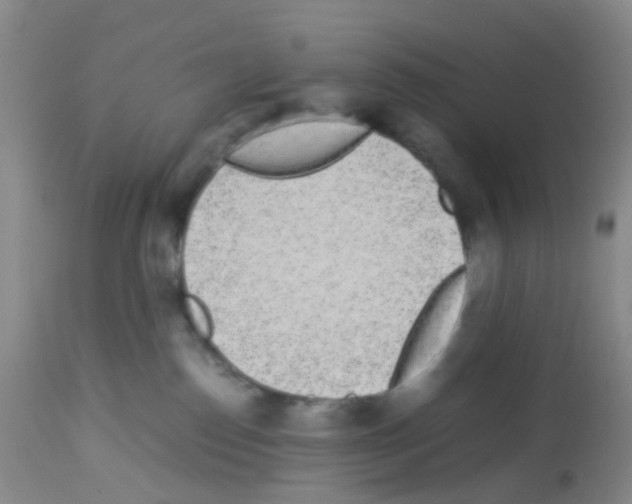 X0000113070186200910091216