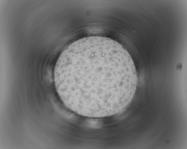 X0000113070187200910091216