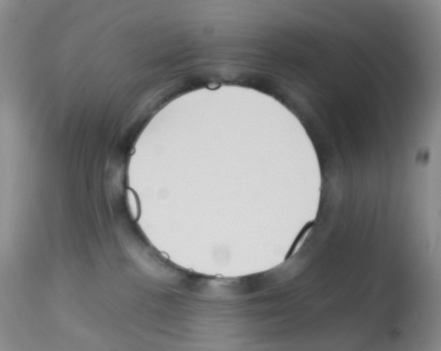 X0000113070188200910091216