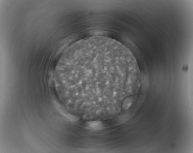 X0000113070189200910091216