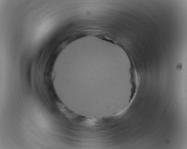 X0000113070190200910091216