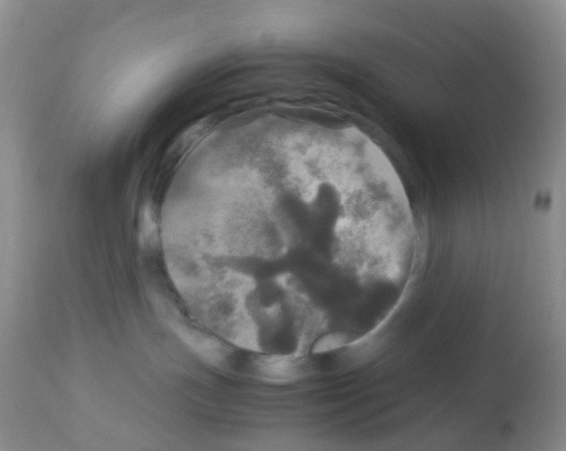 X0000113070191200910091216