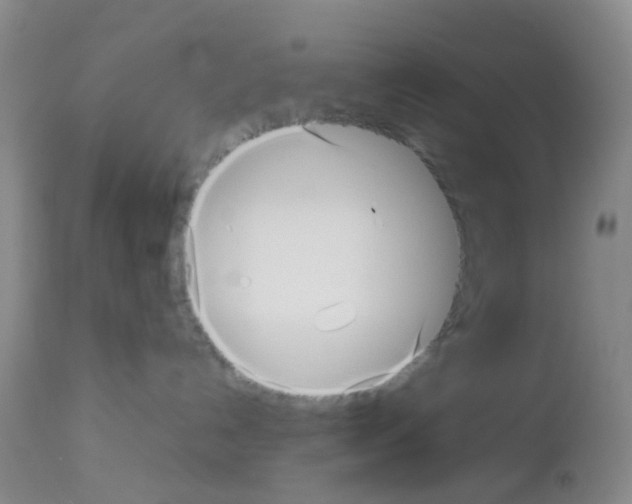 X0000113070192200910091216