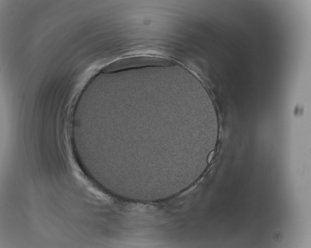 X0000113070193200910091216